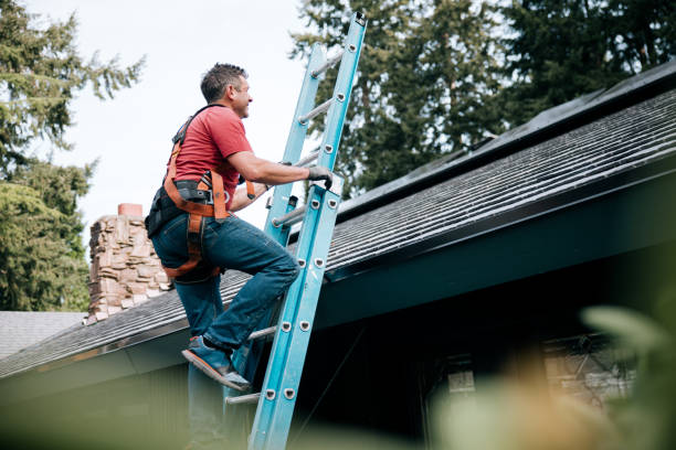 Best Roof Moss and Algae Removal  in Ponder, TX